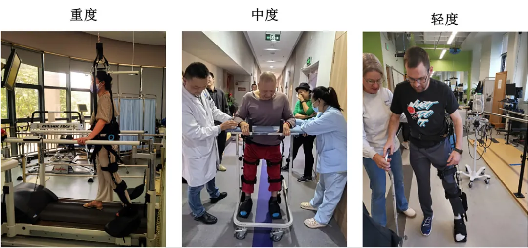 辞玉兔，奕然康复事业结硕果，迎祥龙，金龙开泰捷足入青云